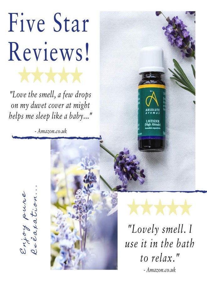 Absolute Aromas High Altitude Lavender lavandula angustifolia Essential Oil 100 Pure Natural Vegan Undiluted and CrueltyFree for use in Diffusers Oil Burners and Aromatherapy Blends, 10 Millilitre - Image 4